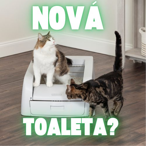 Ako naučiť mačku na novú - aj smart - toaletu